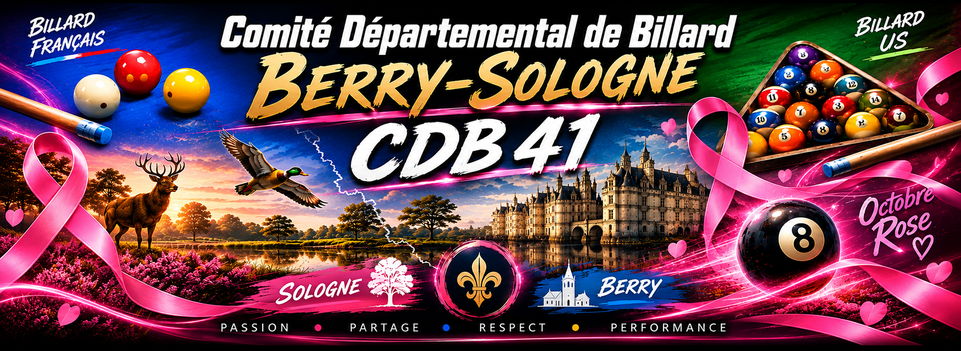 Comité Départemental de Billard Berry &amp; Sologne